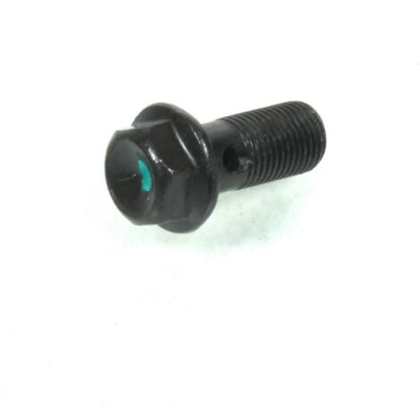 Vis raccord banjo AJP pour scooter Peugeot 125 Satelis 760539