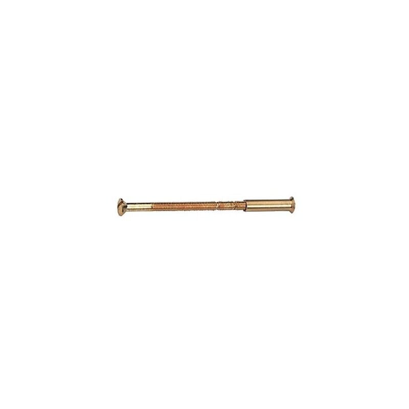 Vis reliure pour épaisseur porte de 30 à 65 mm laiton nickelé en sachet de 25 pièces Cadap