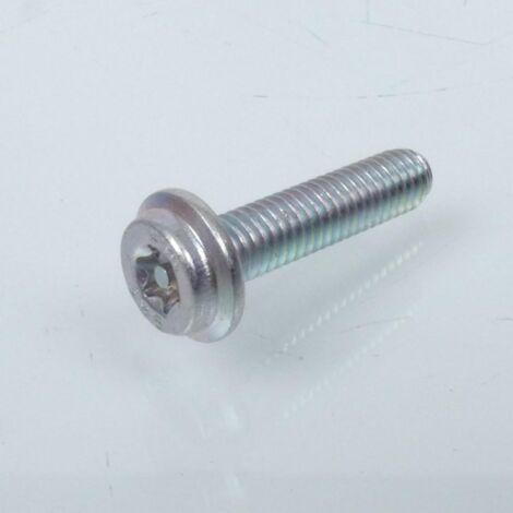 Vis RESISTORX inviolable M6 Pas 1.00 L 25mm pour deux roues