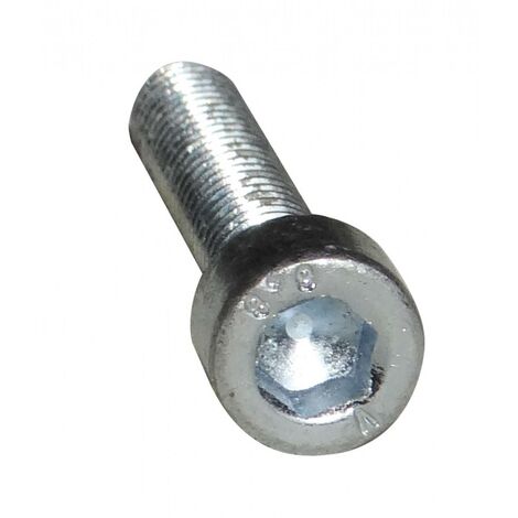 VIS RIS-3 M 6x28 TCHC RENSON
