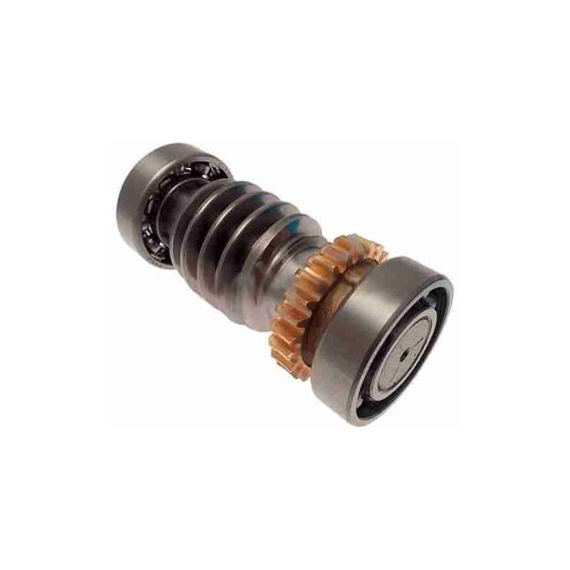 Roulement à vis sans fin – Pour remplacement du moteur souterrain frog Came 119RIA016