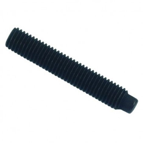 Vis sans tête à bout téton six pans creux (STHC) brut - 4 x 6 mm- Vendu par 200