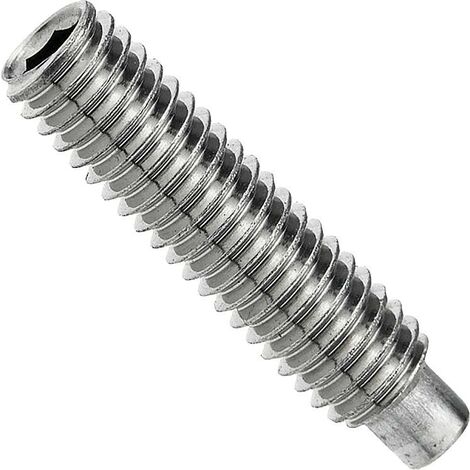 Vis sans tête à six pans creux et tenon 45H selon DIN EN ISO 4028 M 6 x 16 conditionnement : 100