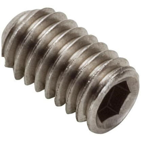 Vis sans tete Hansgrohe M6x10 96029000