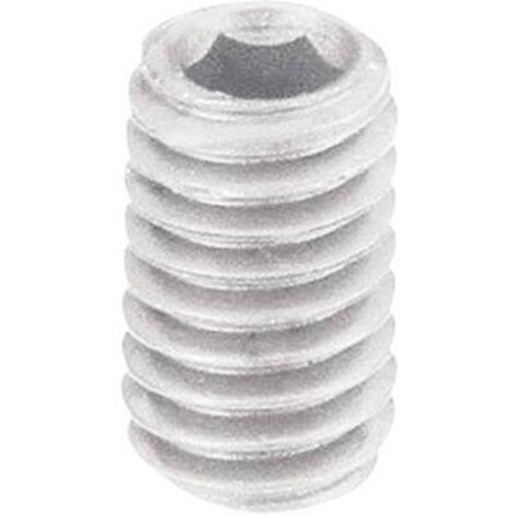 VIS SANS TÊTE TOOLCRAFT 830379 DIN 913 5 MM PLASTIQUE/POLYAMIDE M6 10 PC(S)