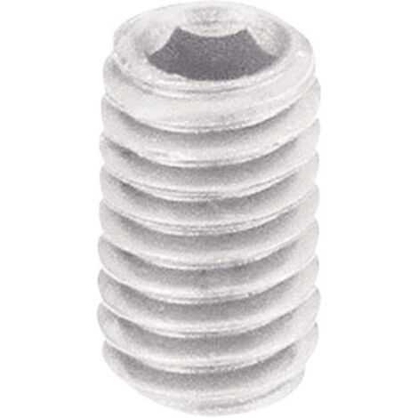 VIS SANS TÊTE TOOLCRAFT 830386 DIN 913 10 MM PLASTIQUE/POLYAMIDE M6 10 PC(S)