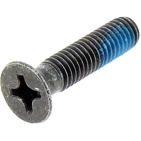 Vis spécial penture 2603421226 – Longueur 50mm – Empreinte cruciforme – Acier inoxydable – Lot de 100 vis pour perforateurs Bosch