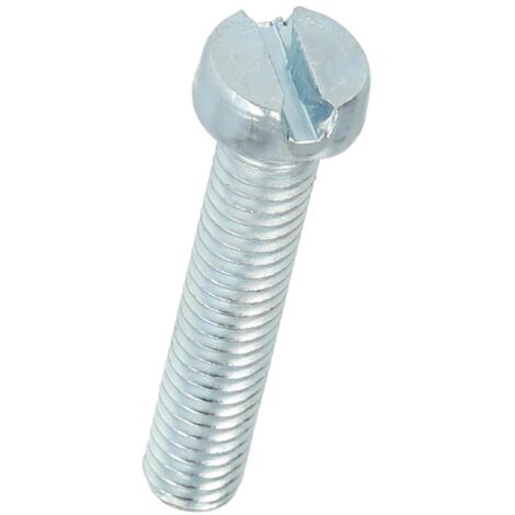 Vis tête cylindrique fente M6 x 30 mm avec fente