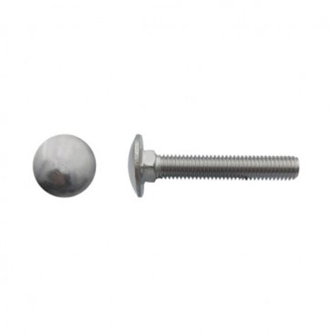 Vis tête ronde collet carré (TRCC) Inox A2 - 10 x 130 mm- Vendu par 50
