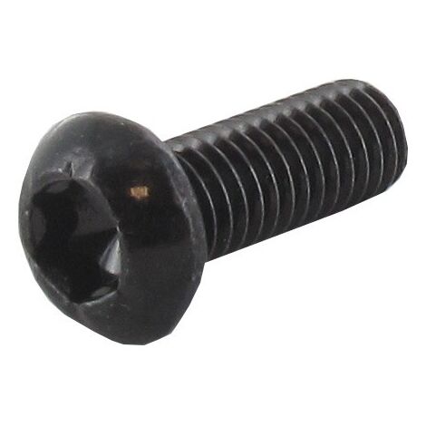 Vis tête Torx M6 x 15mm GGP - CASTELGARDEN 123878109/0