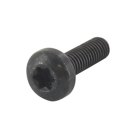 Vis tête TORX M6 x 20 mm GGP - CASTELGARDEN 112727801/0