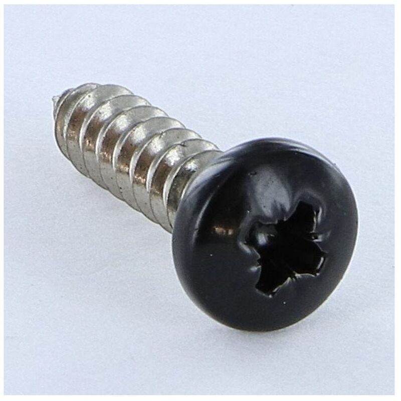 Vis tôle Inox A2 Tête cylindrique large tcl Pozi 4.8X19 RAL9005 noir foncé-200 pièces