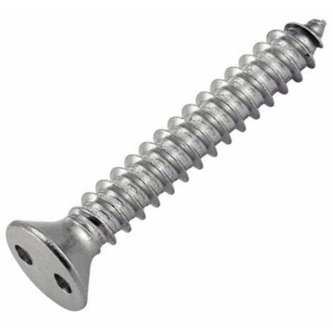 Vis Tôle Inviolable TF 2 Trous "Snake Eyes" 3.5X25 Inox A2