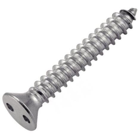 Vis Tôle Inviolable TF 2 Trous "Snake Eyes" 4.8X50 Inox A2