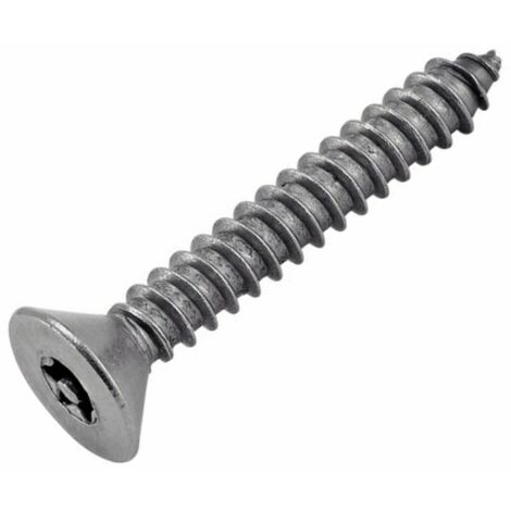 Vis Tôle Inviolable TF Torx + Téton 3.5X13 Inox A2