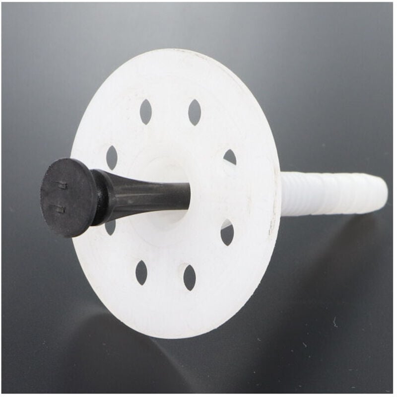 Vis Express - Cheville d'isolation 10X260 et Clou SYNTHETIQ-100 pièces