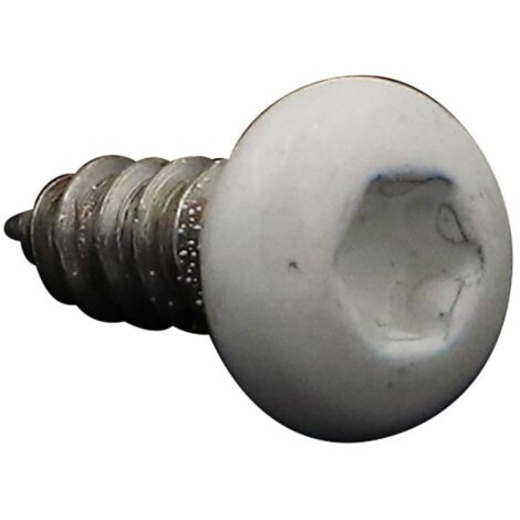 Vis tôle Tête cylindrique large Tête cylindrique bombée large TCBL 4.2X13 Inox A2 TORX T20 RAL9010 blanc-30 pièces