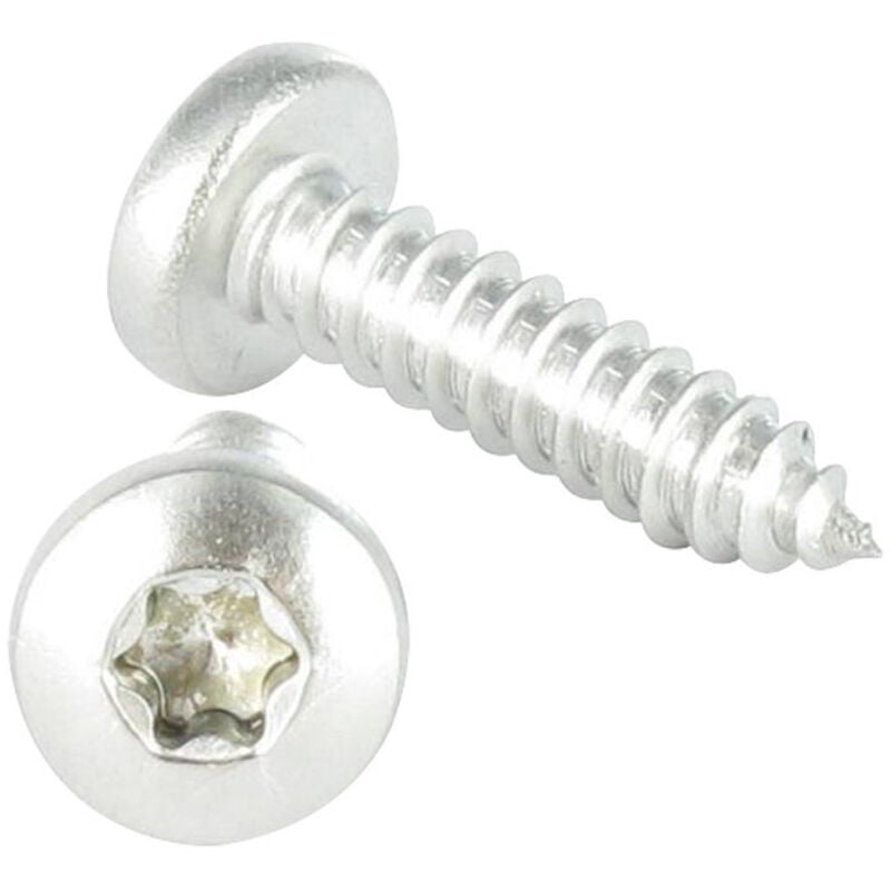 Vis Express - Vis tôle Tête cylindrique large Tête cylindrique bombée large tcbl 6.3X80 Filetée sur 60 Inox A2 torx T30-100 pièces