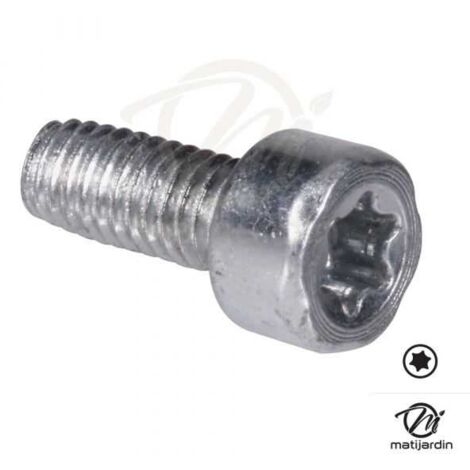 Vis Torx 27 M4 x 10 pour tronçonneuse Stihl 017 MS170