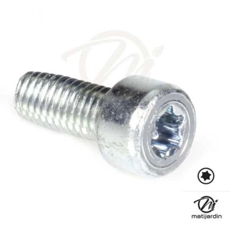 Vis Torx 27 M5 x 12 pour tronçonneuse Stihl 017 MS170