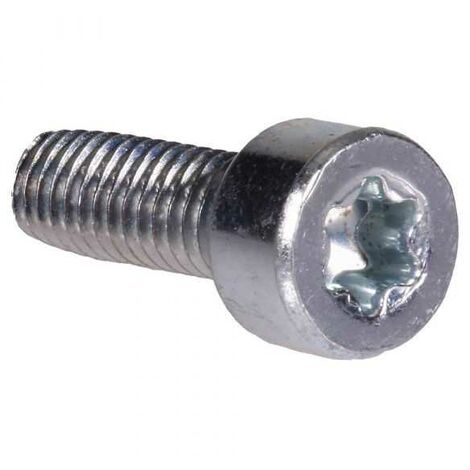 Vis Torx 27 pour Stihl. x10. Type M4 x 12
