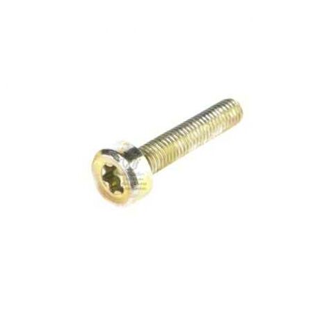 Vis Torx 27. x10. Ø 5x25 mm. Pour Stihl
