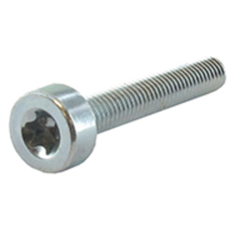 Vis Torx M5x30mm Adaptable Stihl Pour Modèles Tous Modèles. Remplace Origine 9022-341-1070.