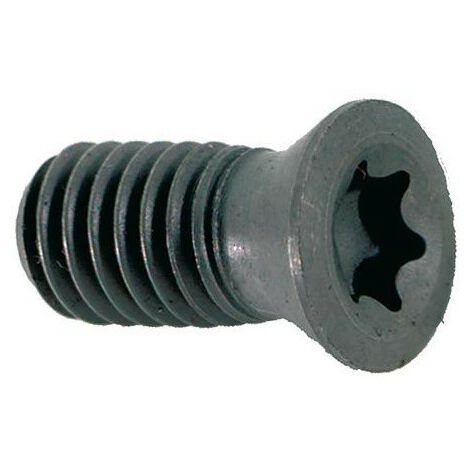 Vis Torx pour D. 8mm