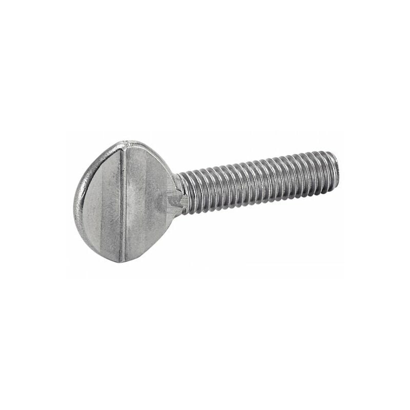 Vis violon - Inox A2 6x30 mm - Boîte de 100
