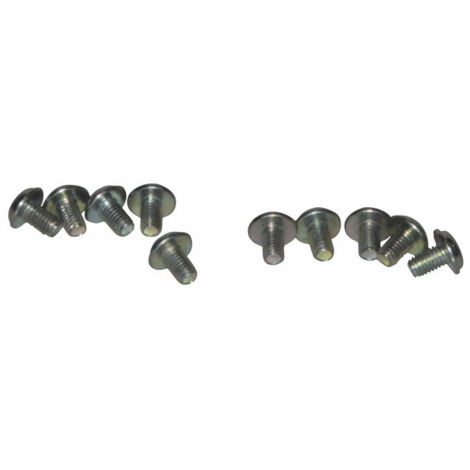 Vis (x10) (X 10) - VAILLANT : 105900