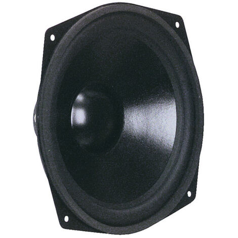 VISATON Tieftöner WS 25 E, 110 W