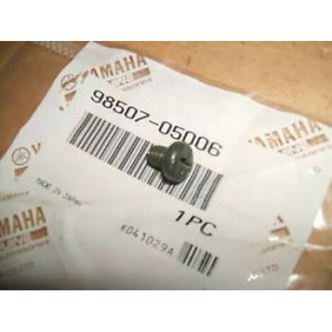 Visserie origine pour Moto Yamaha 1300 FJR 2003 à 2005