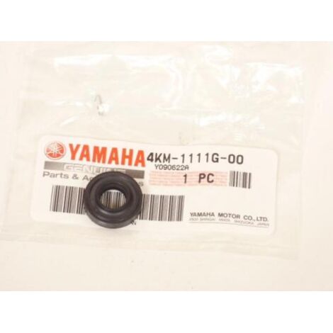 Visserie origine pour Moto Yamaha 900 Diversion Après 1998