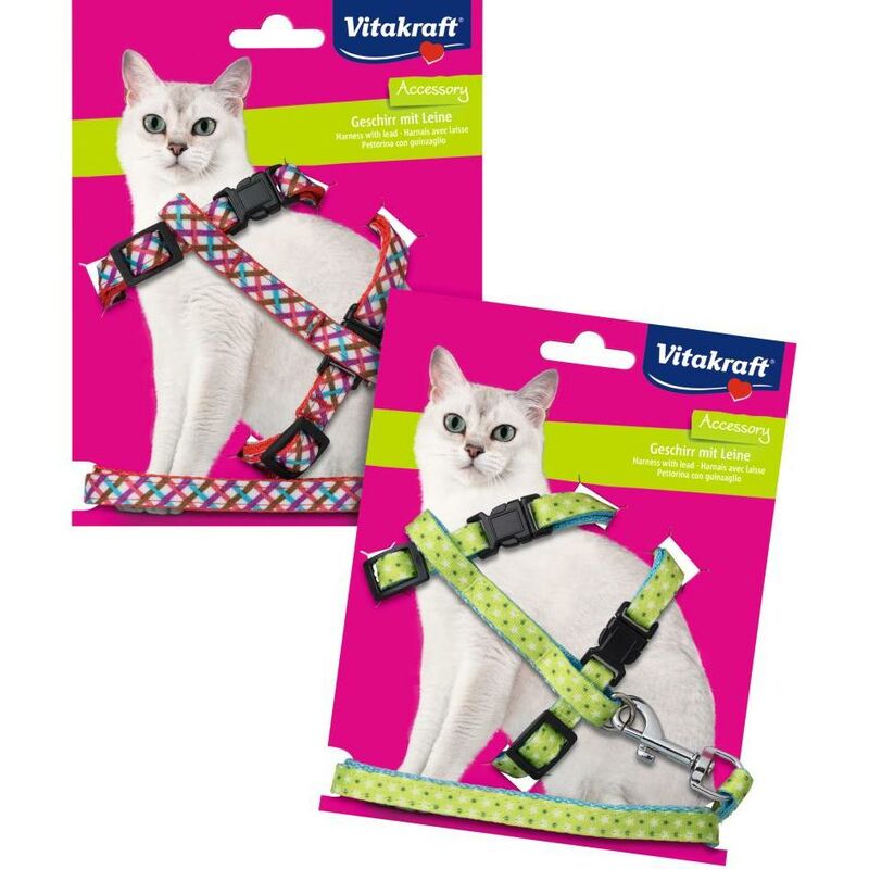 

Arnés nylon decorado 10 mm collar y arnés para gatos - Vitakraft