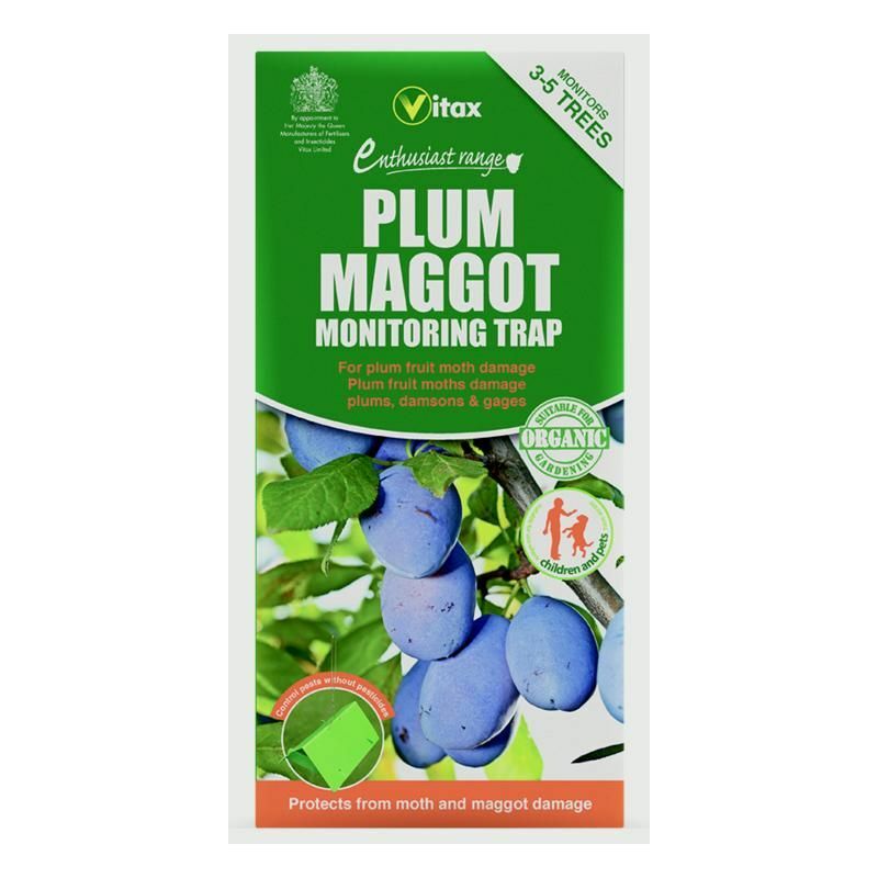 Vitax - Plum Maggot Trap - 5PM1