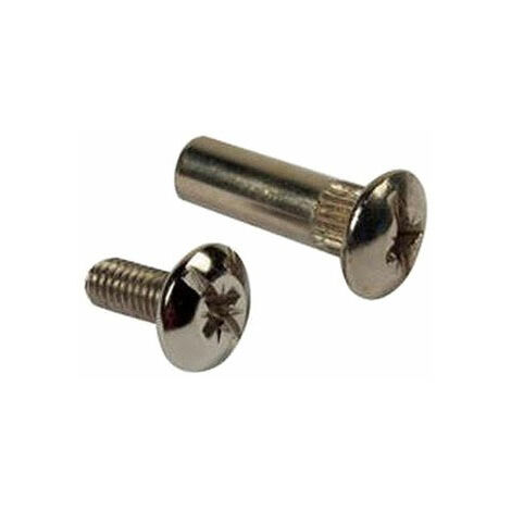 Vite 6max14 + tubetto 6max31 nickel 20pz