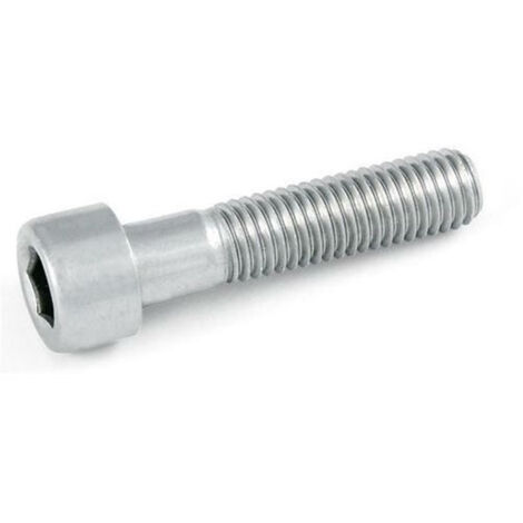Vite a testa cilindrica con cava esagonale M8 x 45 mm