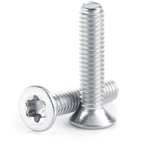 Vite a testa piatta M2.5 in acciaio inossidabile 304 (M2.5×10)