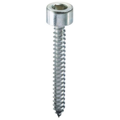 VITE AUTOFILETTANTE TC CON ESAGONO INCASSATO  mm. 5,5x25