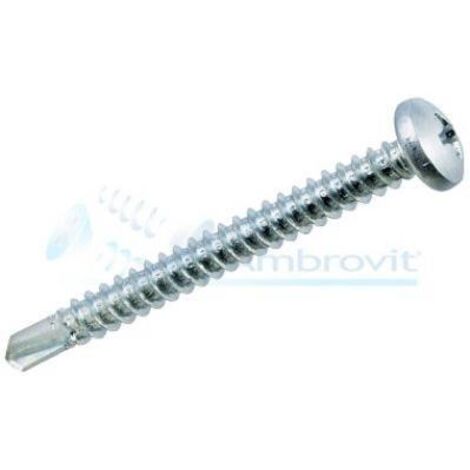 VITE AUTOPERFORANTE TC ZNC mm. 2,9x13