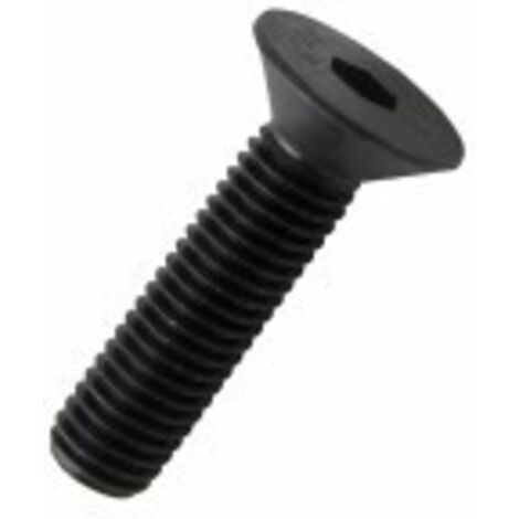 VITE BRUGOLA TP 10.9 5x 16 DIN7991-UNI5933