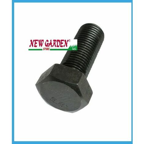 Vite bullone per decespugliatore 270139 10x1,50 Sx