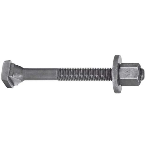 Vite cava a T DIN 787 cava a T 16mm M16 L.125mm qualità 8.8 con dado e rondella AMF
