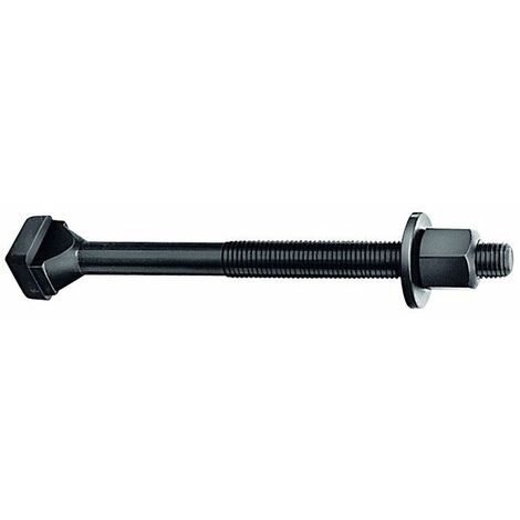 Vite cava a T DIN 787 cava a T 20mm M20 L.250mm qualità 8.8 con dado e rondella AMF