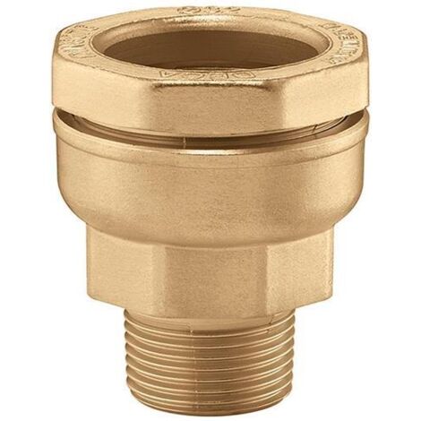 Vite di collegamento 862 Ottone, ridotta 40x1Z AG