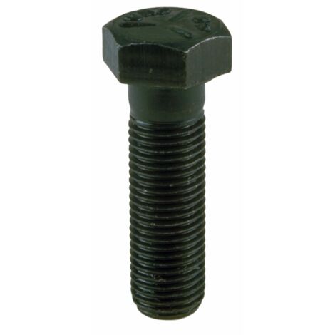 Vite Fiss.Lama Rasaerb.63,4 Mm