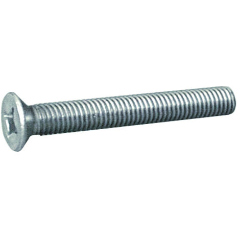 VITE IN ACCIAIO INOX TSP DIN 965  M 5x60 mm. 2.00 centinaia