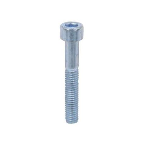 Vite Inox Cilindrica Cava Esagonale M.8X30