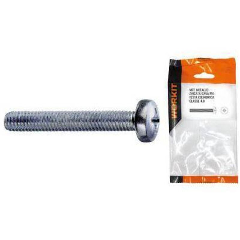 Vite metallo tc zincata self Workit