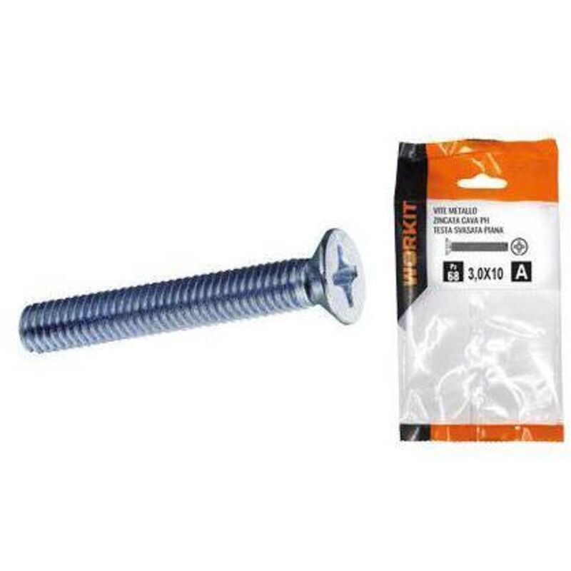 Vite metallo tsp zincata self Workit